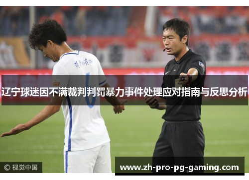 辽宁球迷因不满裁判判罚暴力事件处理应对指南与反思分析