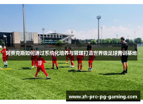 阿贾克斯如何通过系统化培养与管理打造世界级足球青训基地