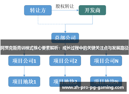 阿贾克斯青训模式核心要素解析：成长过程中的关键关注点与发展路径