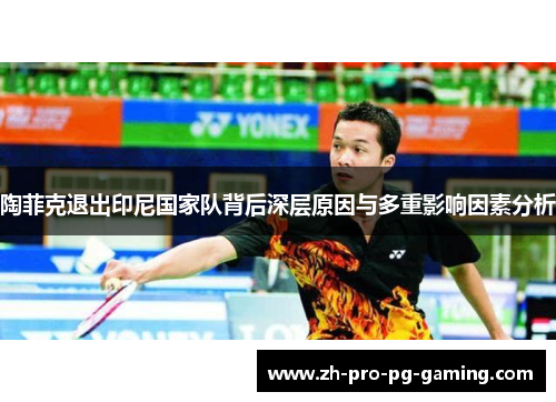 陶菲克退出印尼国家队背后深层原因与多重影响因素分析